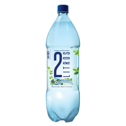 AGUA PURA SALVAVIDAS 2LTS