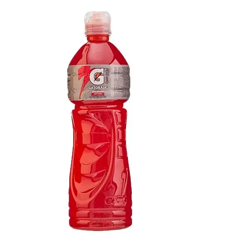 [036731393685] GATORADE FRUIT PUNCH PET 600 ML