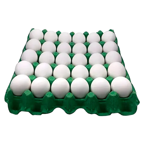 [H00002] CARTON DE HUEVOS BLANCOS